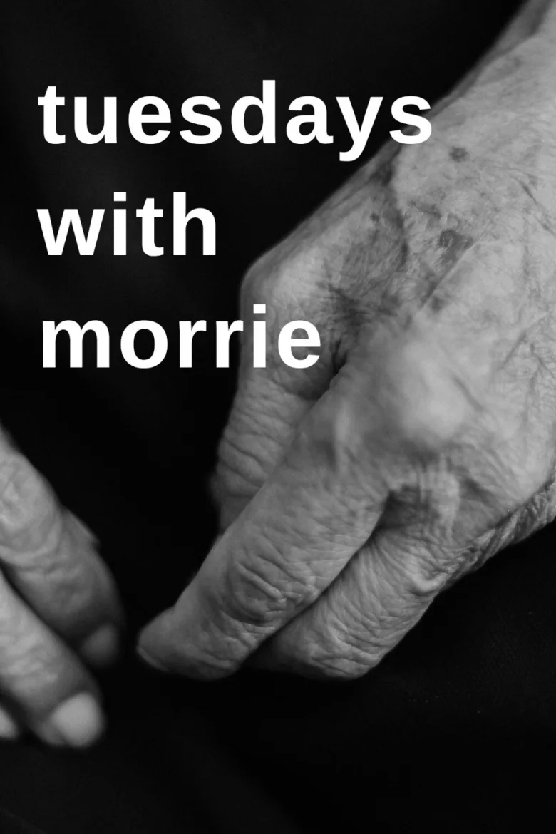 Morrie ile Her Salı İndir - görsel 4