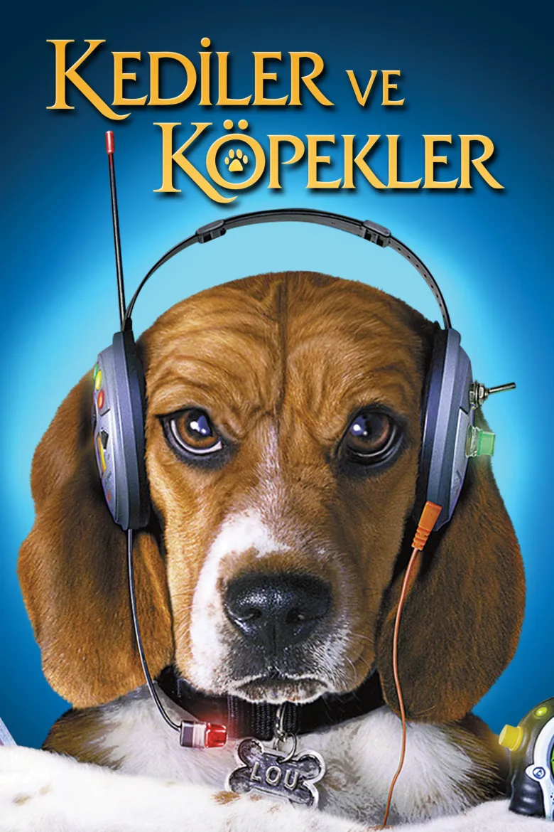 Kediler ve Köpekler İndir - görsel 8