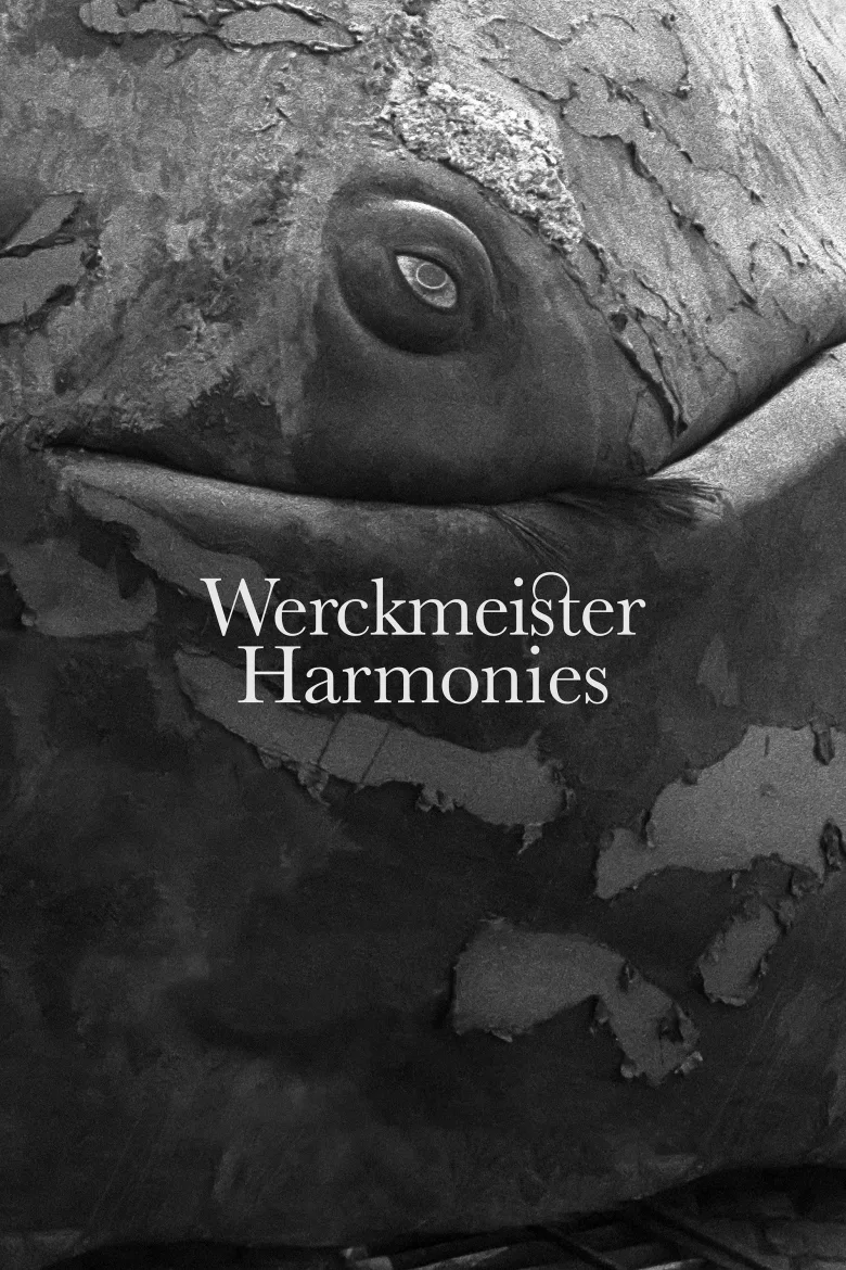 Werckmeister harmóniák İndir - görsel 13