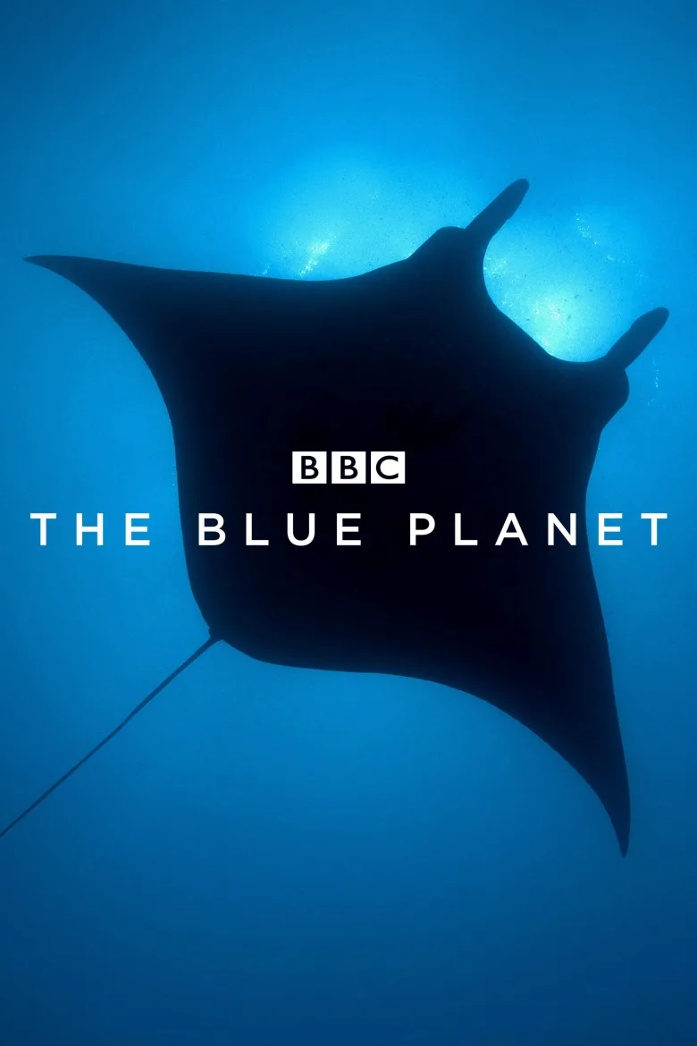 The Blue Planet 1080p İndir - görsel 12