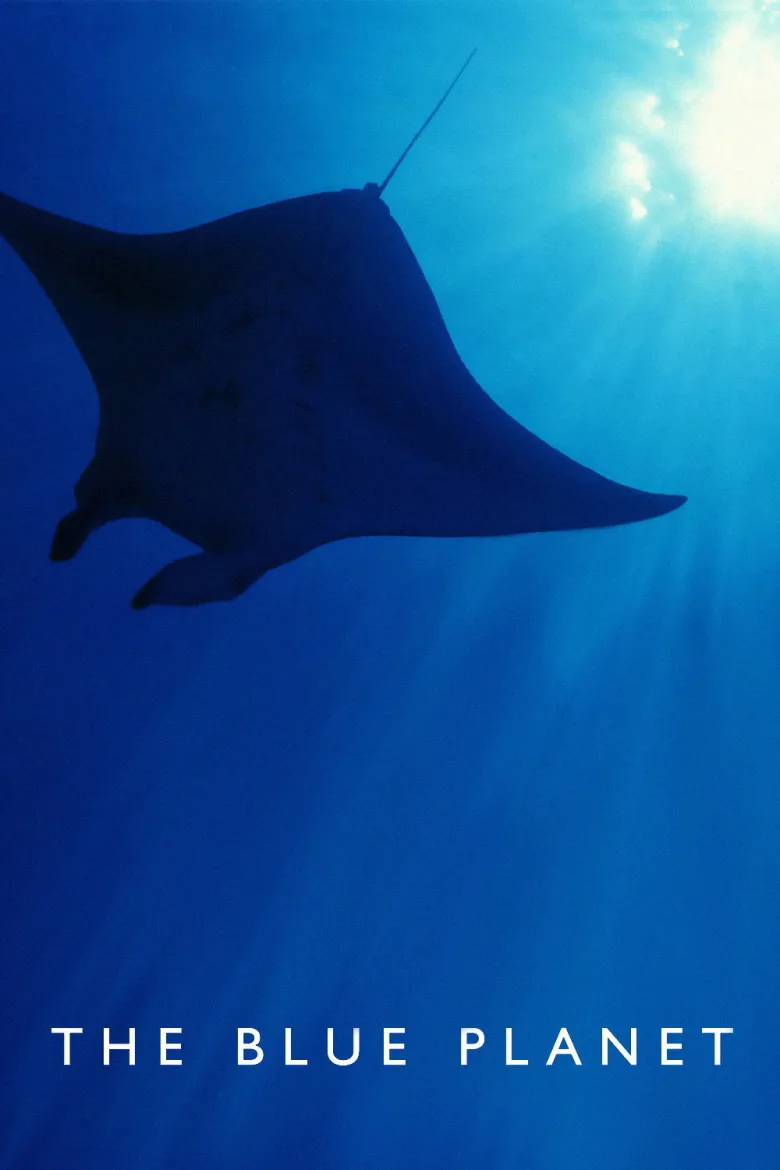 The Blue Planet 1080p İndir - görsel 13