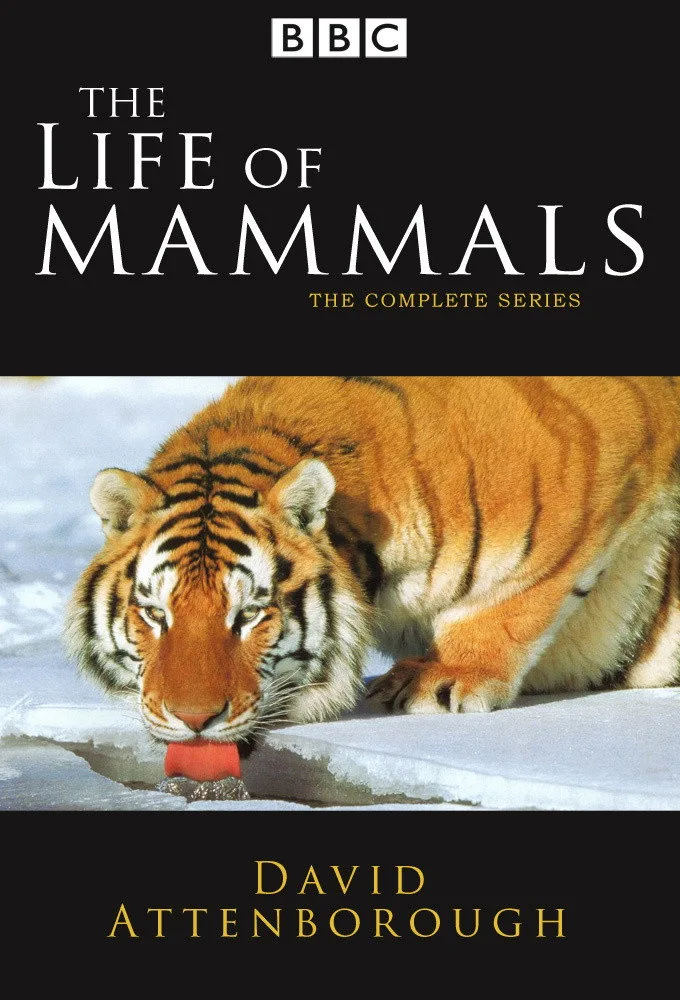 The Life of Mammals 720p Altyazılı İndir - görsel 4