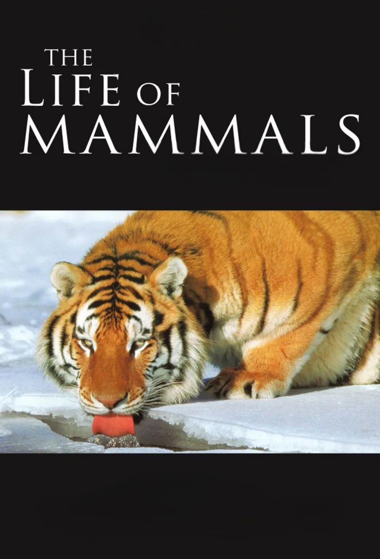 The Life of Mammals 720p Altyazılı İndir - görsel 5