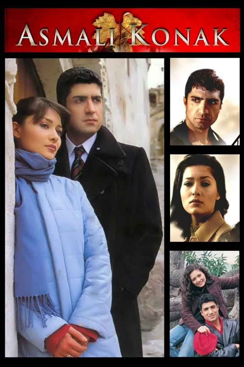Asmalı Konak 1080p İndir - görsel 2