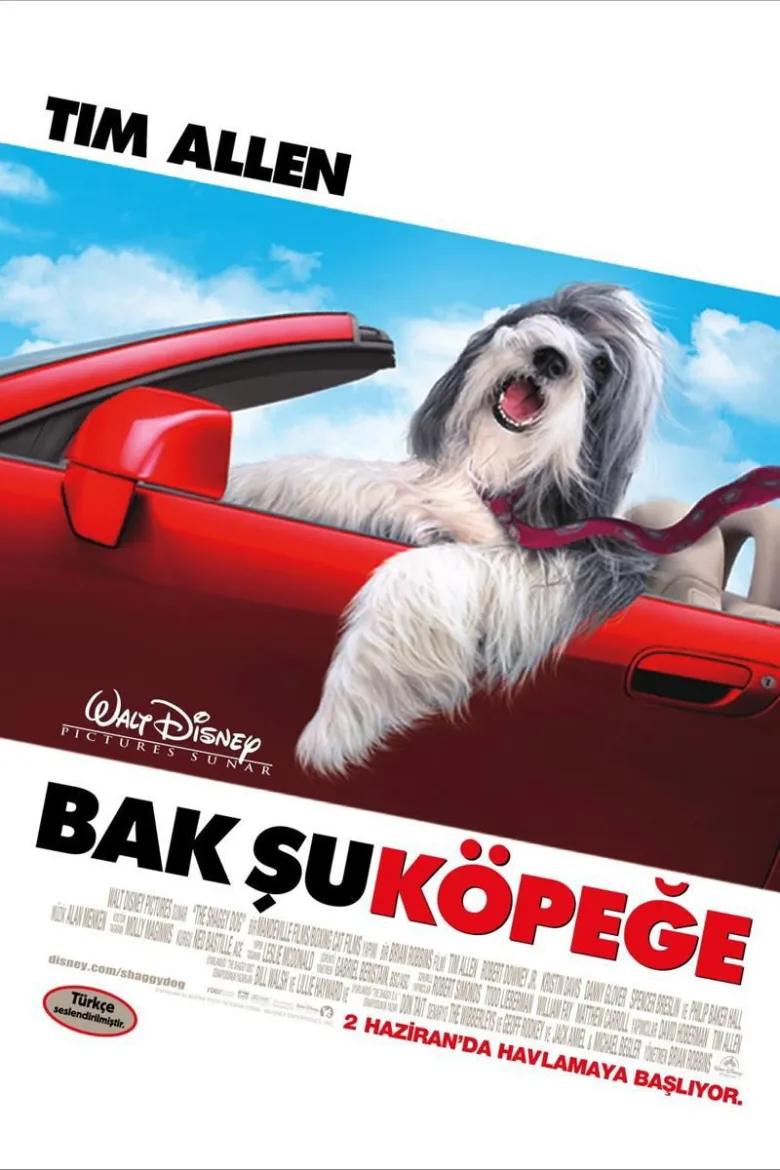 Bak Şu Köpeğe İndir - görsel 12