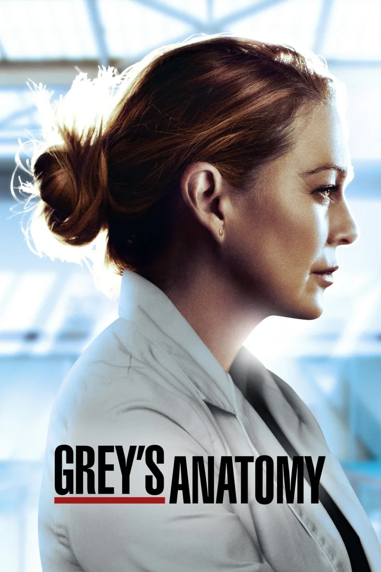 Grey's Anatomy İndir - görsel 11