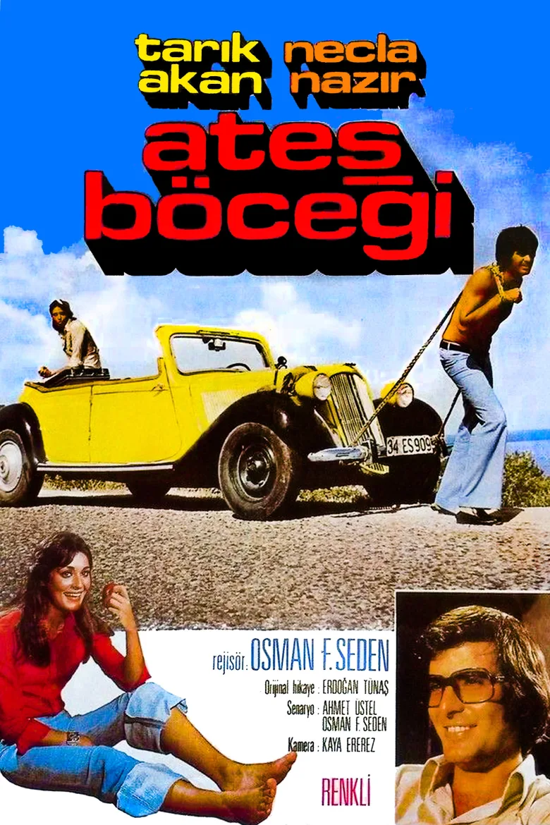 Ateş Böceği - görsel 5