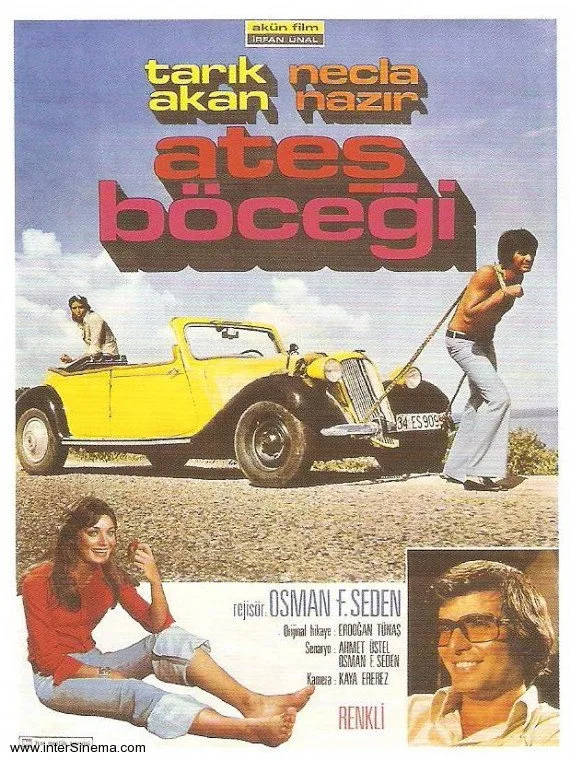 Ateş Böceği - görsel 6