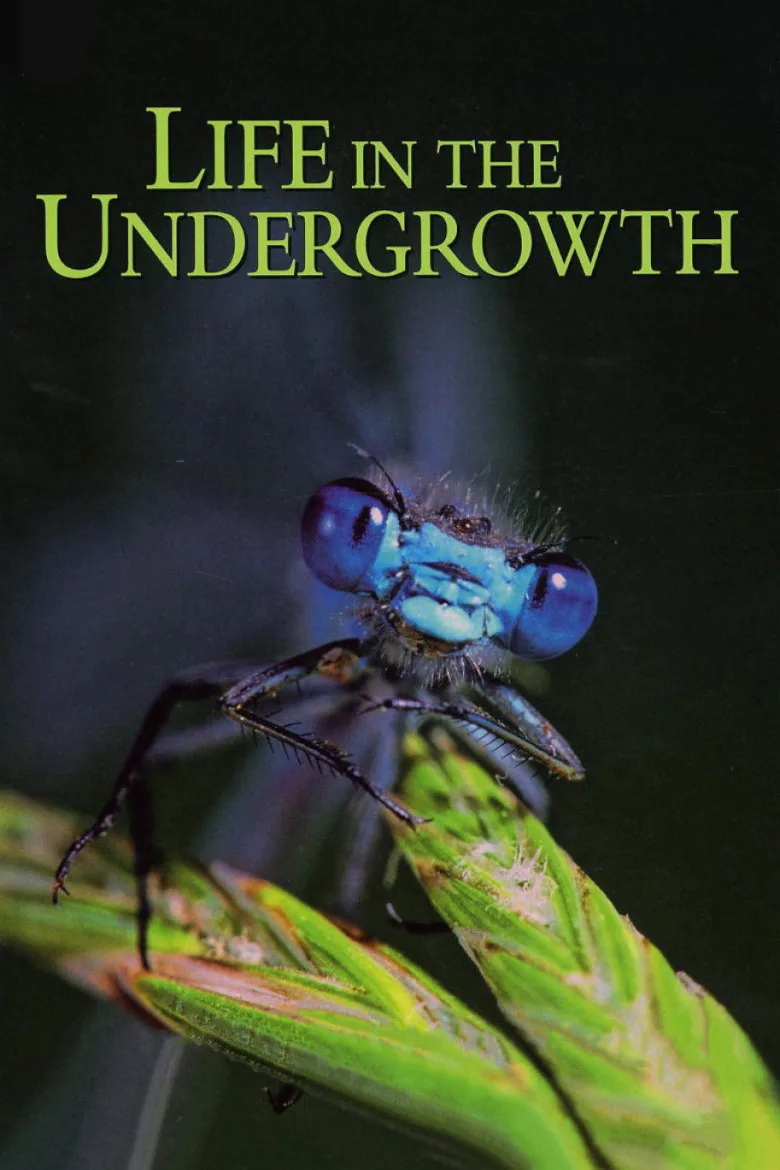 Life in the Undergrowth İndir - görsel 6