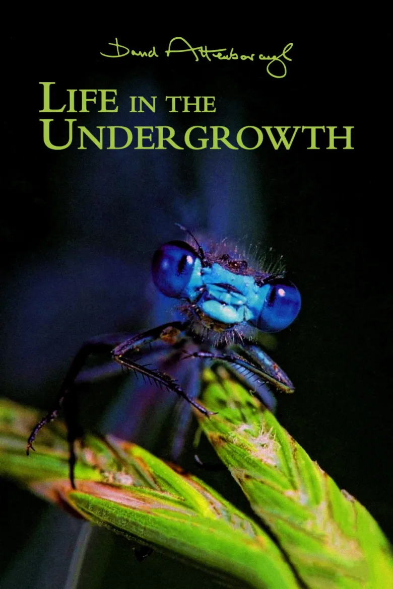 Life in the Undergrowth İndir - görsel 7