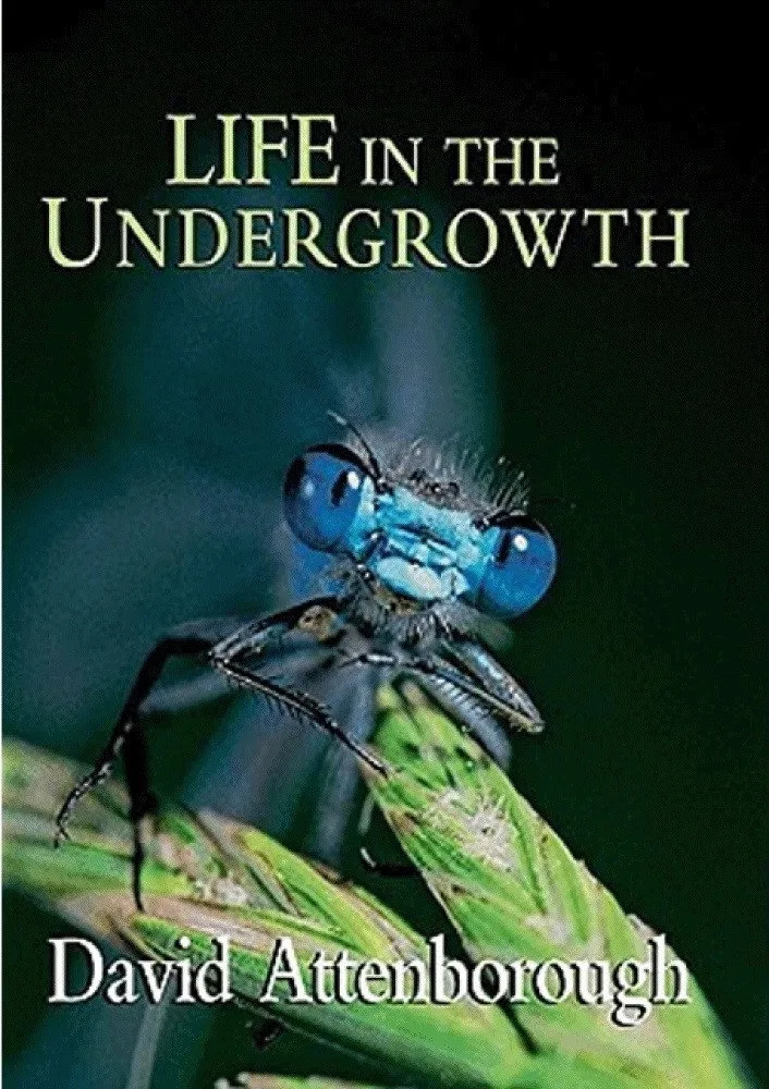 Life in the Undergrowth İndir - görsel 9