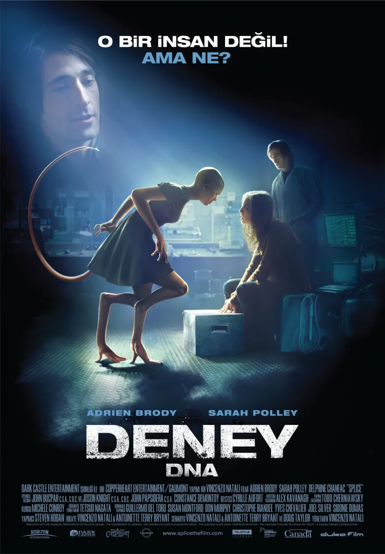 Deney İndir - görsel 13