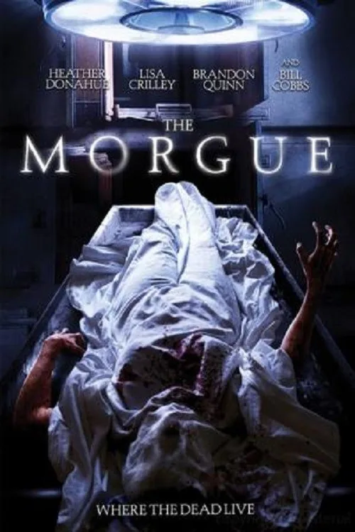 Morgue - görsel 5