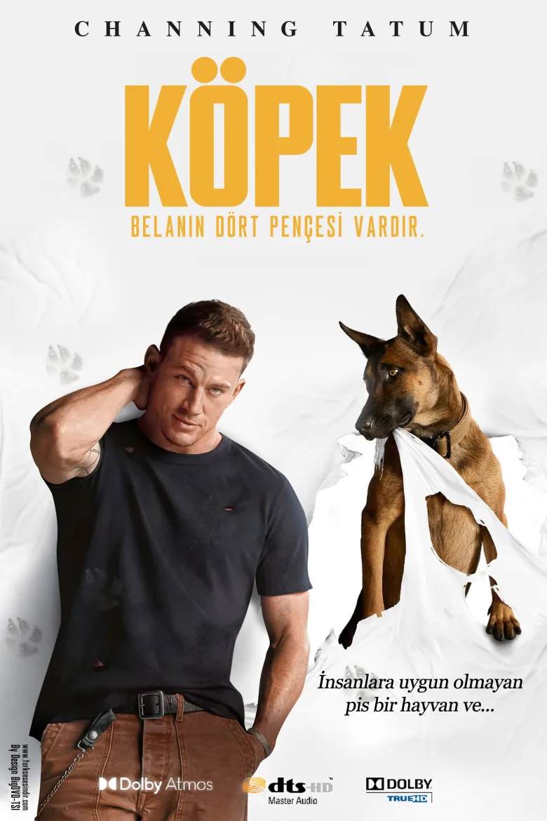 Dog İndir - görsel 12