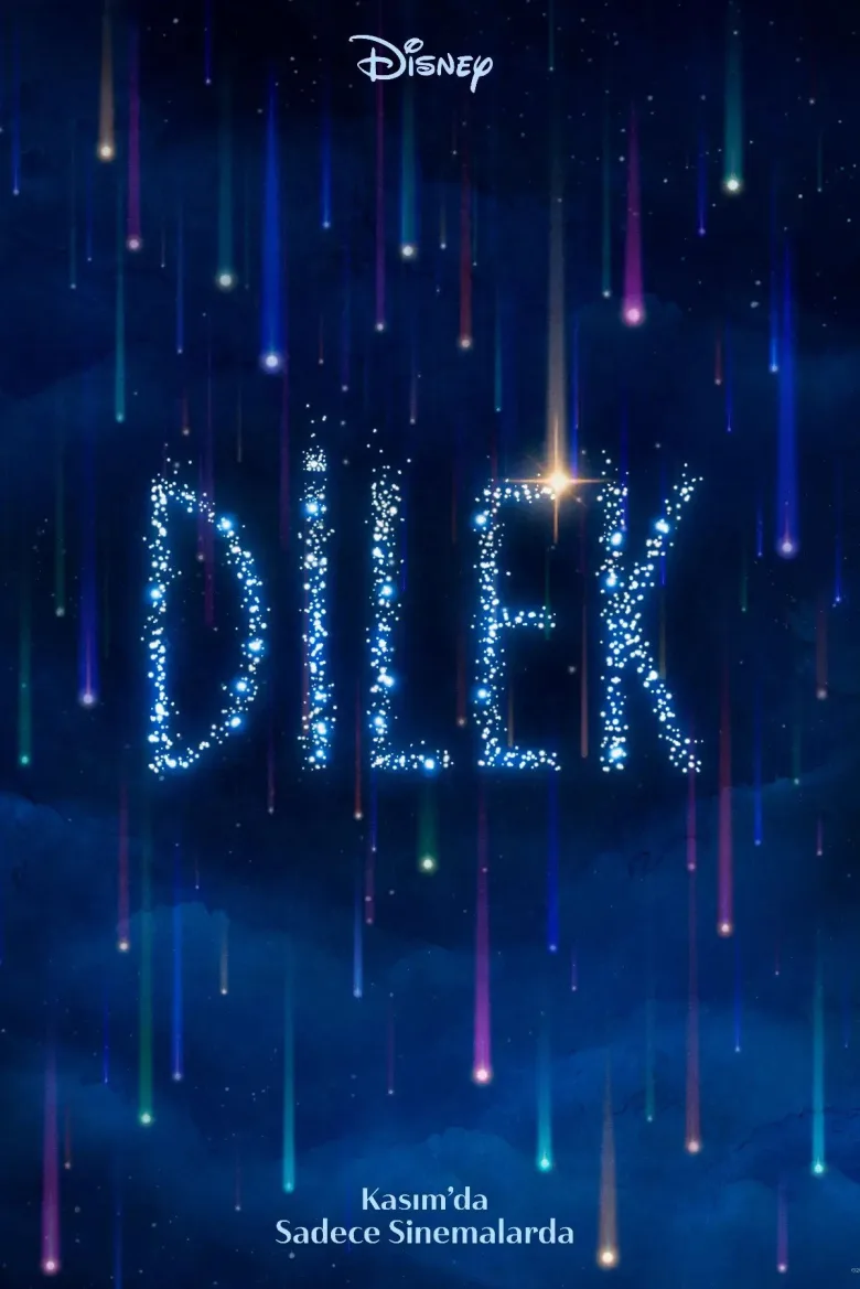 Dilek İndir - görsel 14