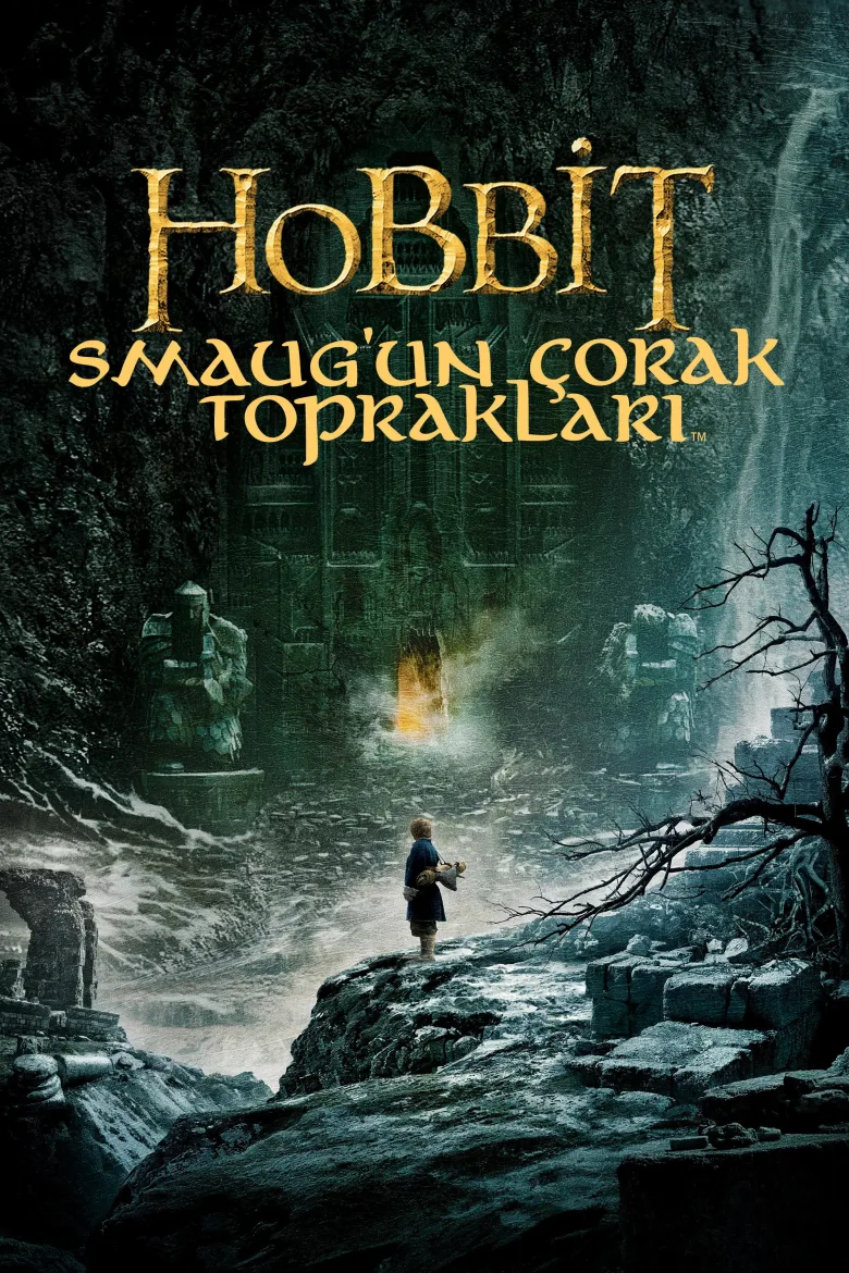 Hobbit: Smaug'un Çorak Toprakları İndir - görsel 12