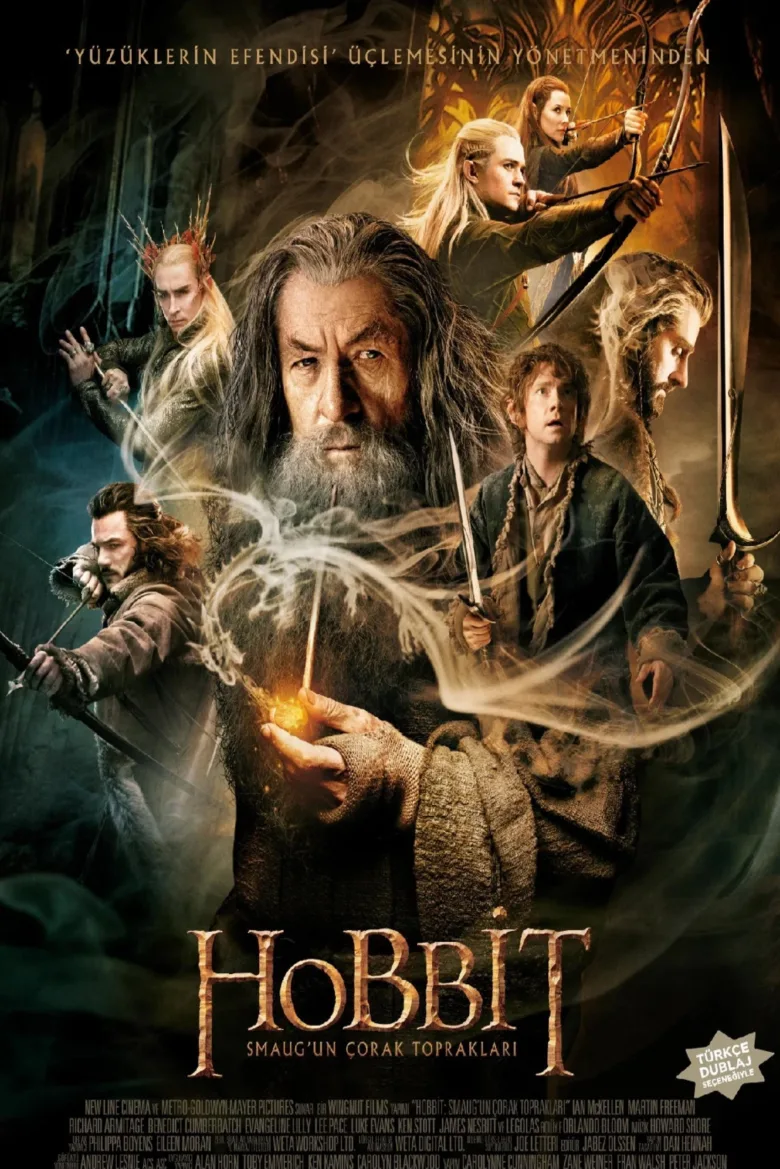 Hobbit: Smaug'un Çorak Toprakları İndir - görsel 14