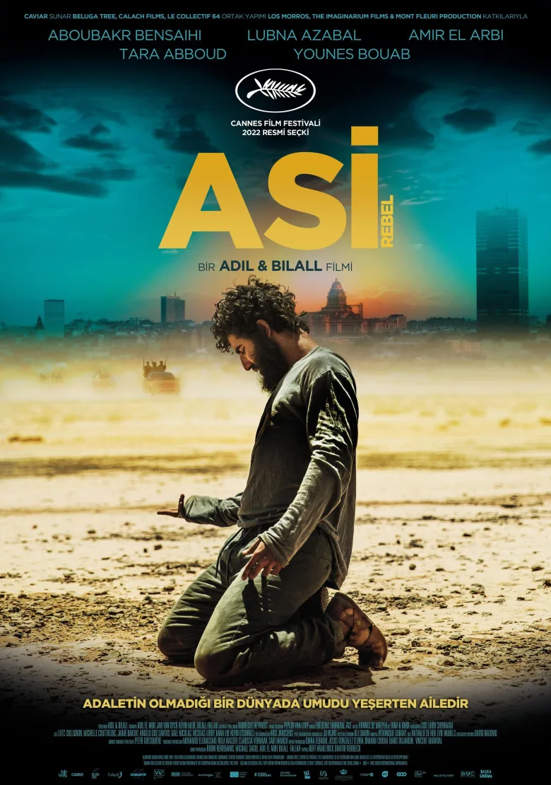 Asi - görsel 11
