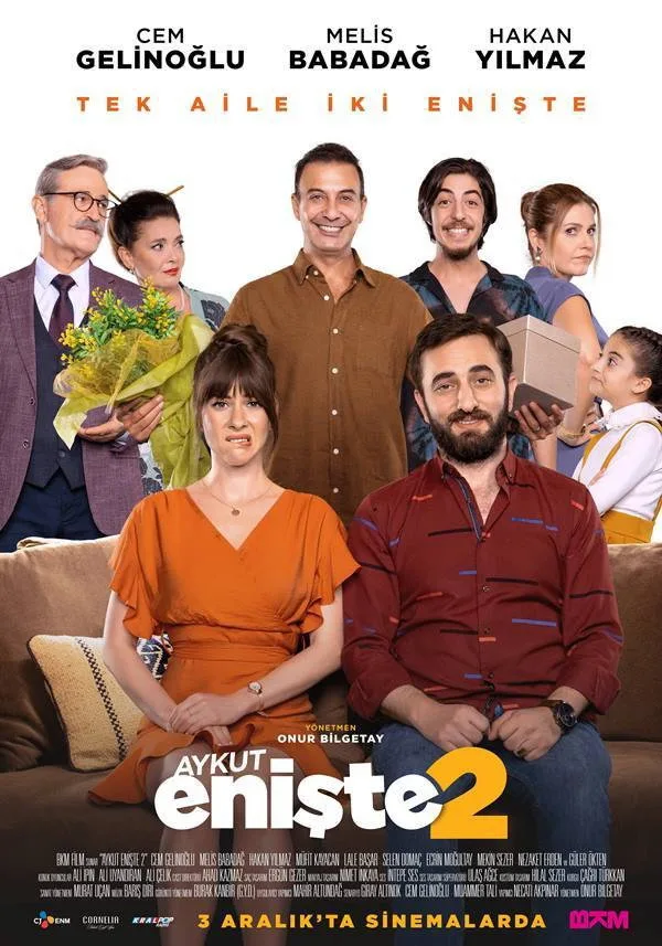 Aykut Enişte 2 İndir - görsel 6