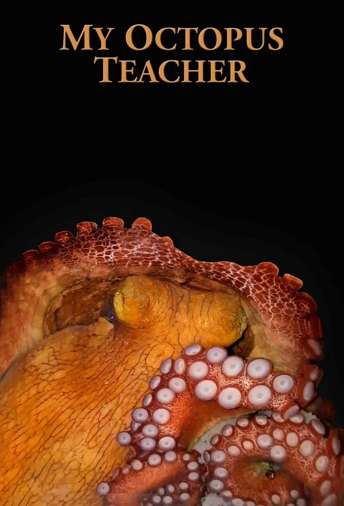 Ahtapottan Öğrendiklerim İndir - görsel 14