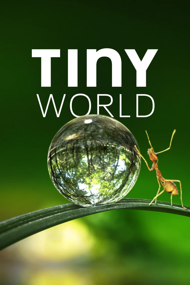Tiny World 1080p Altyazılı İndir - görsel 9