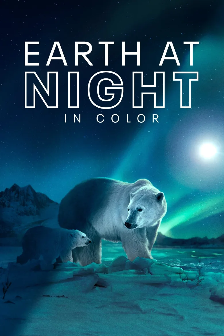 Earth at Night in Colour 1080p Altyazılı İndir - görsel 11