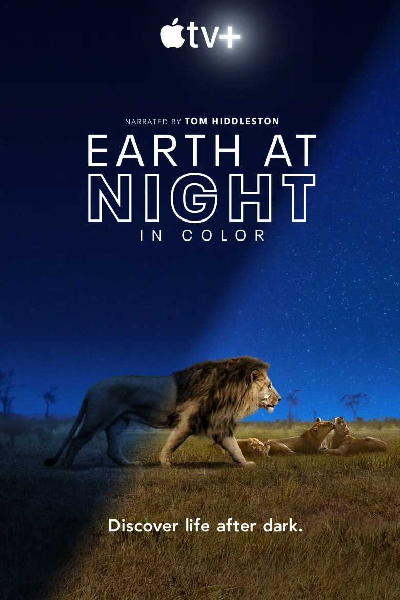 Earth at Night in Colour 1080p Altyazılı İndir - görsel 14