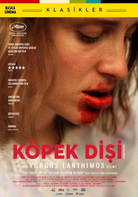 Köpek Dişi İndir - görsel 12