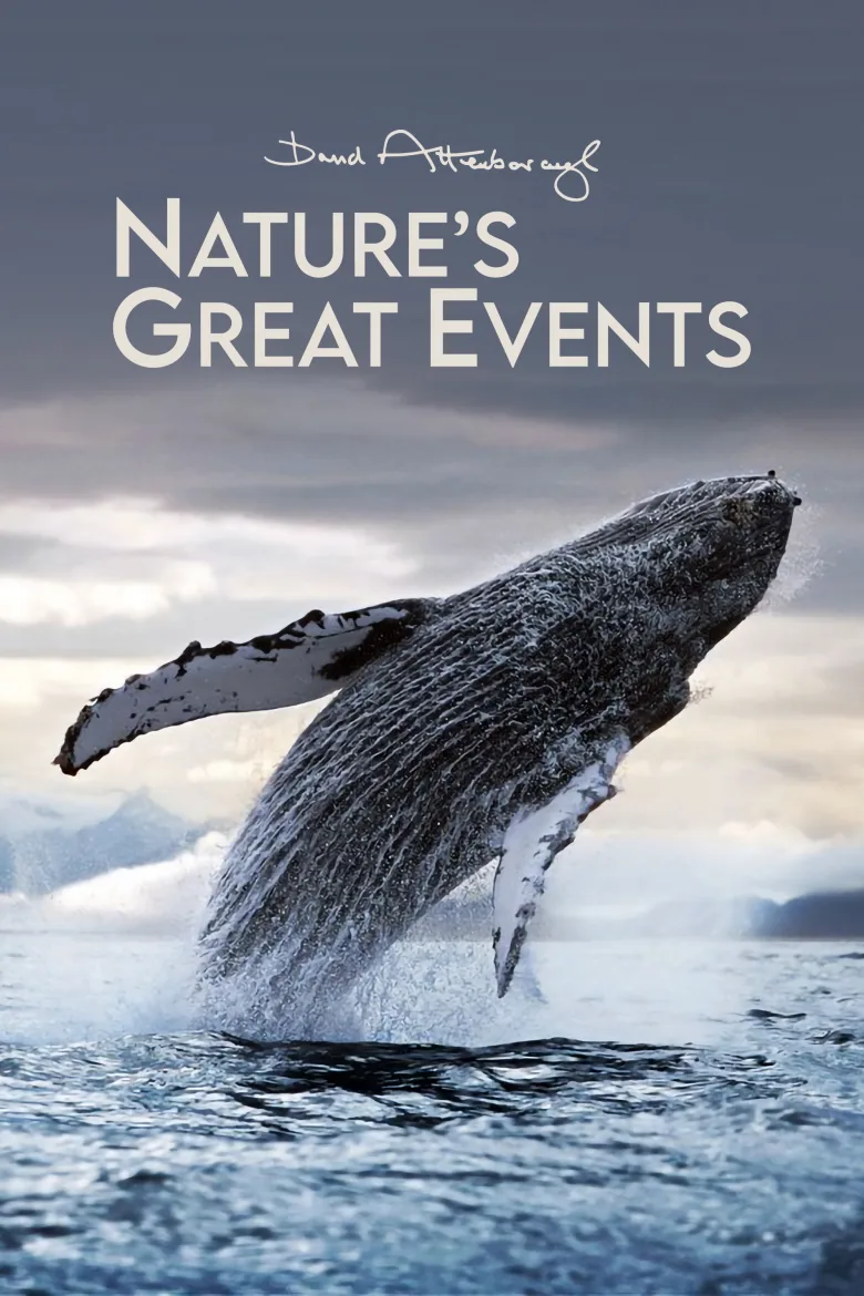 Nature's Great Events 1080p İndir - görsel 6