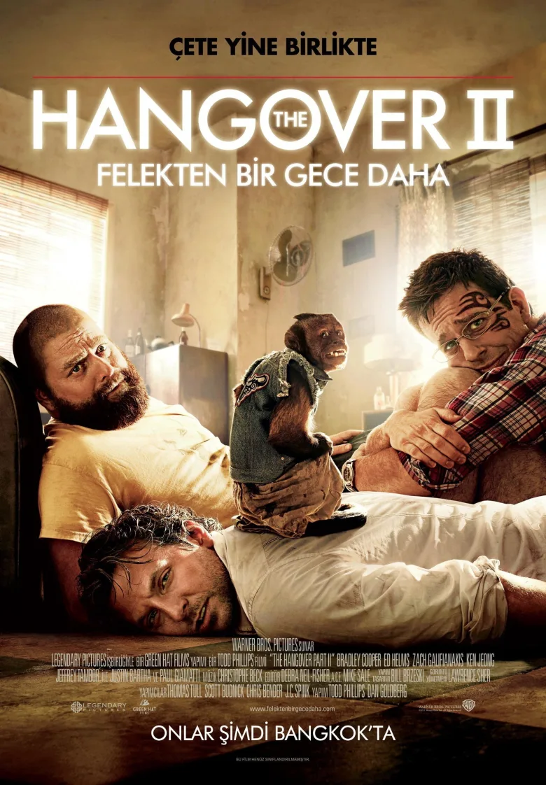 Felekten Bir Gece 2 İndir - görsel 12
