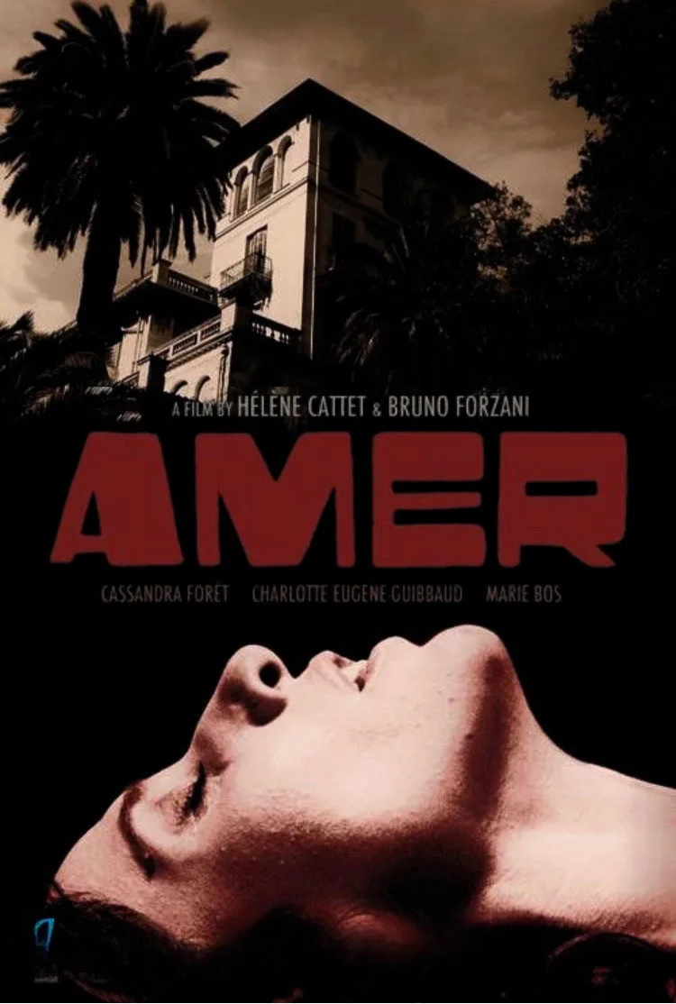 Amer İndir - görsel 13