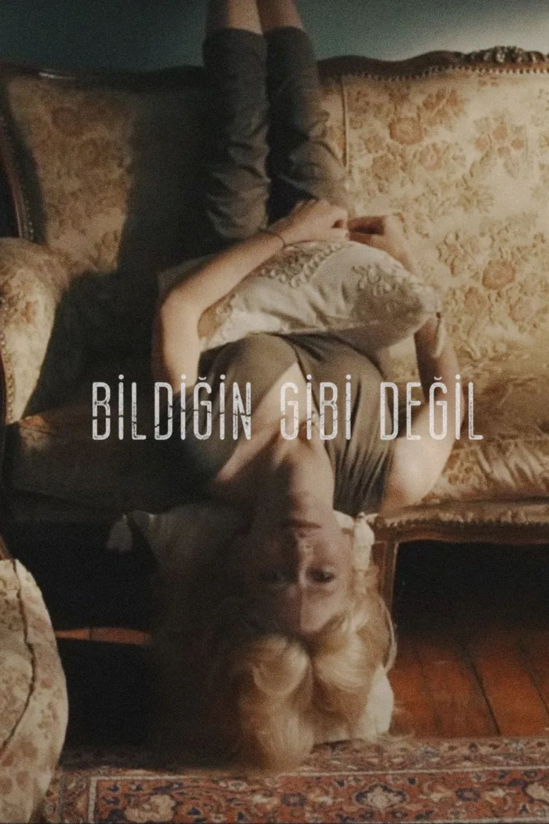 Bildiğin Gibi Değil İndir - görsel 5