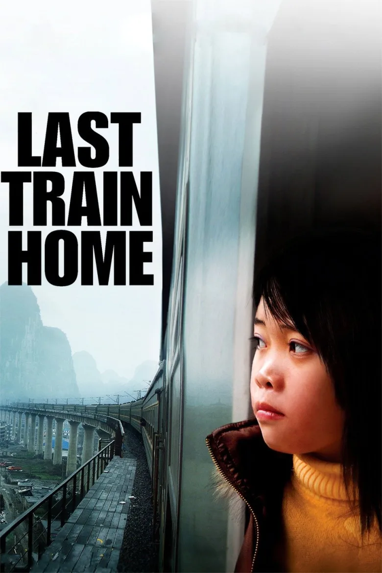 Last Train Home İndir - görsel 3