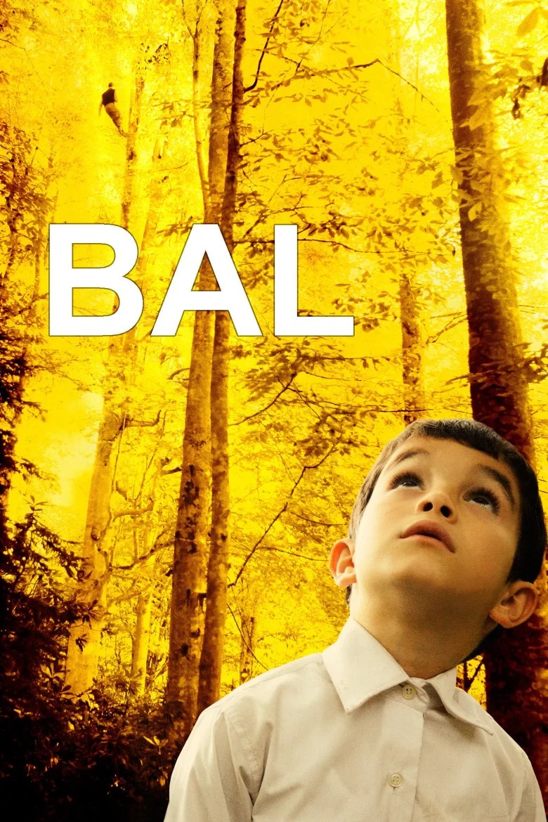 Bal İndir - görsel 7