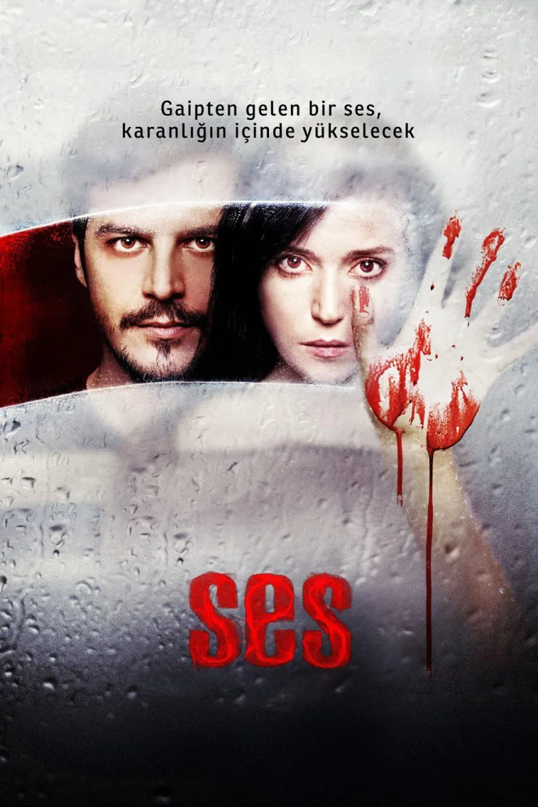 Ses - görsel 2