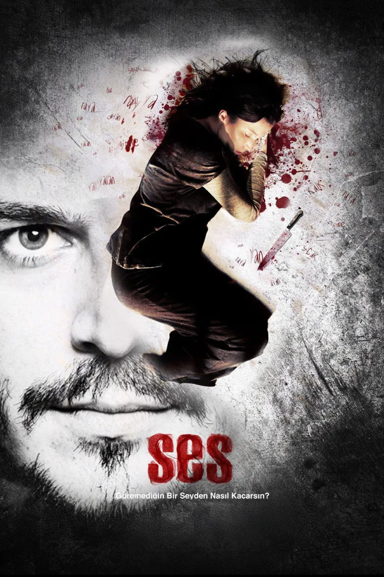 Ses - görsel 4