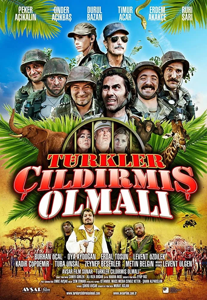 Türkler Çıldırmış Olmalı İndir - görsel 4