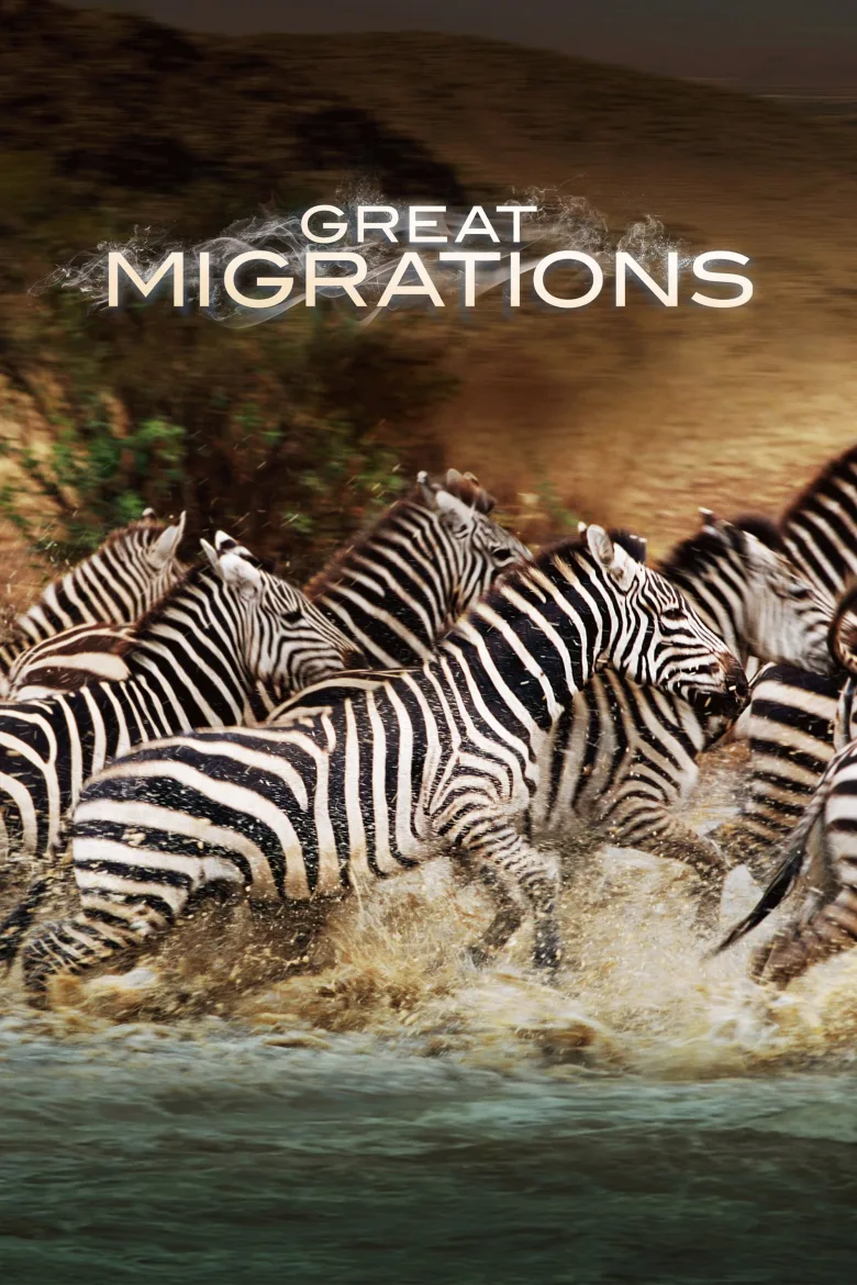 Great Migrations 1080p İndir - görsel 8