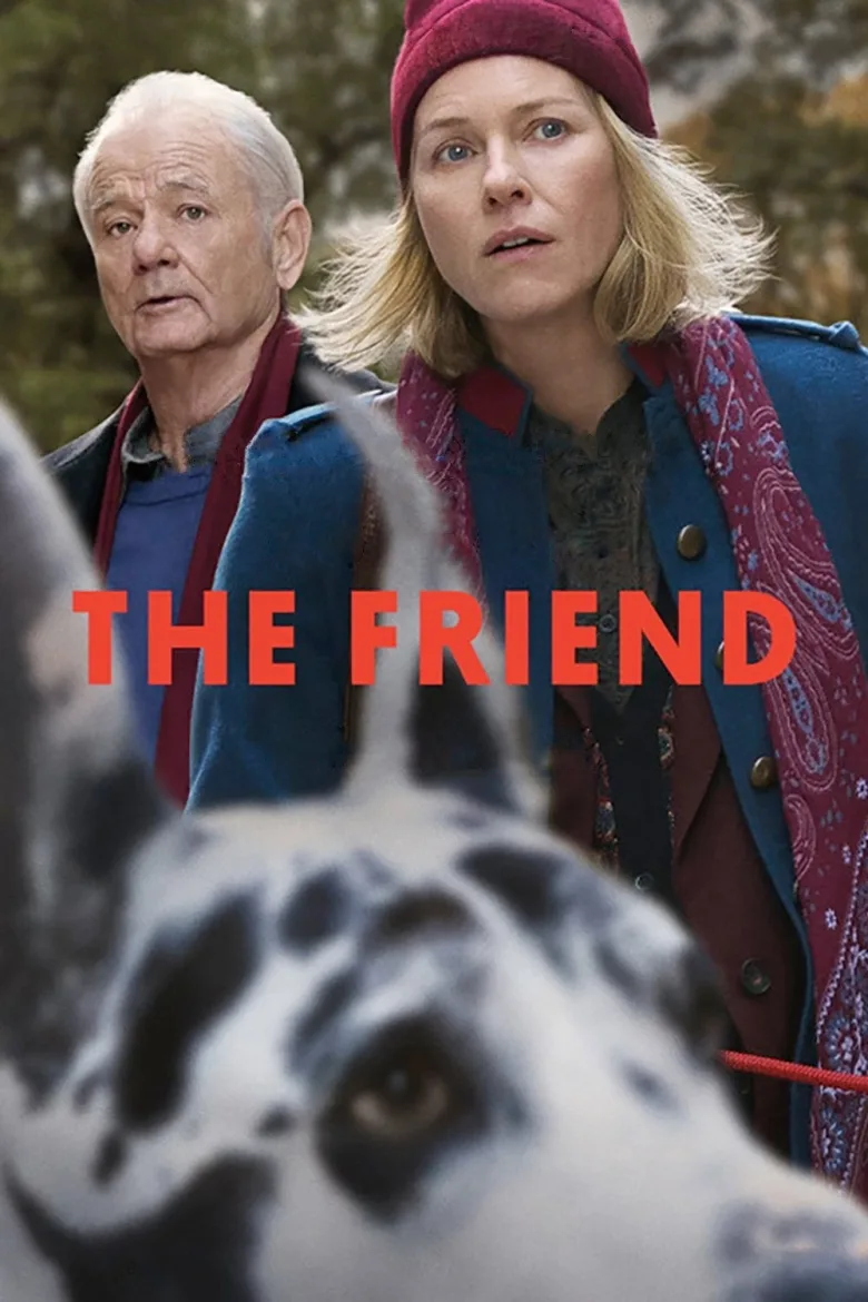 The Friend İndir - görsel 12