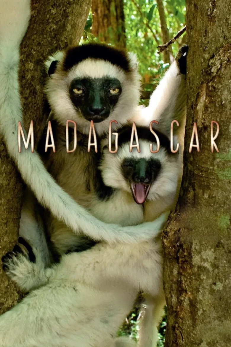 Madagascar 1080p İndir - görsel 2