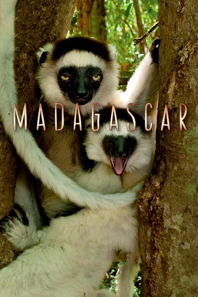 Madagascar 1080p İndir - görsel 3