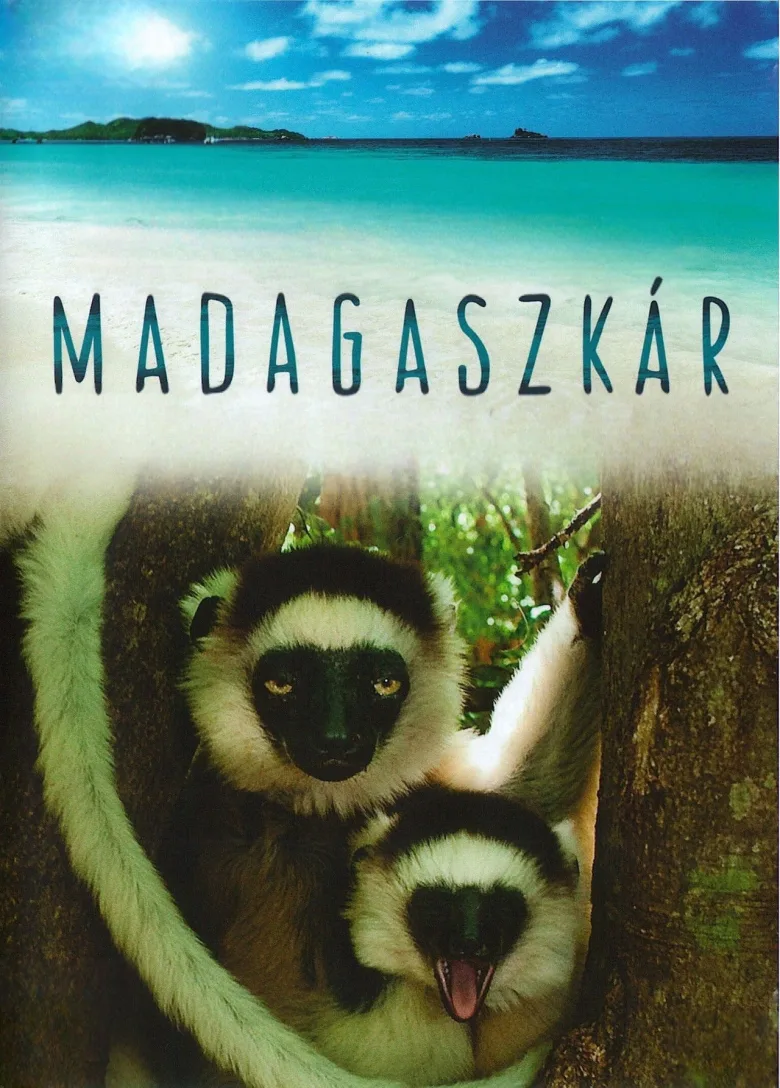 Madagascar 1080p İndir - görsel 4