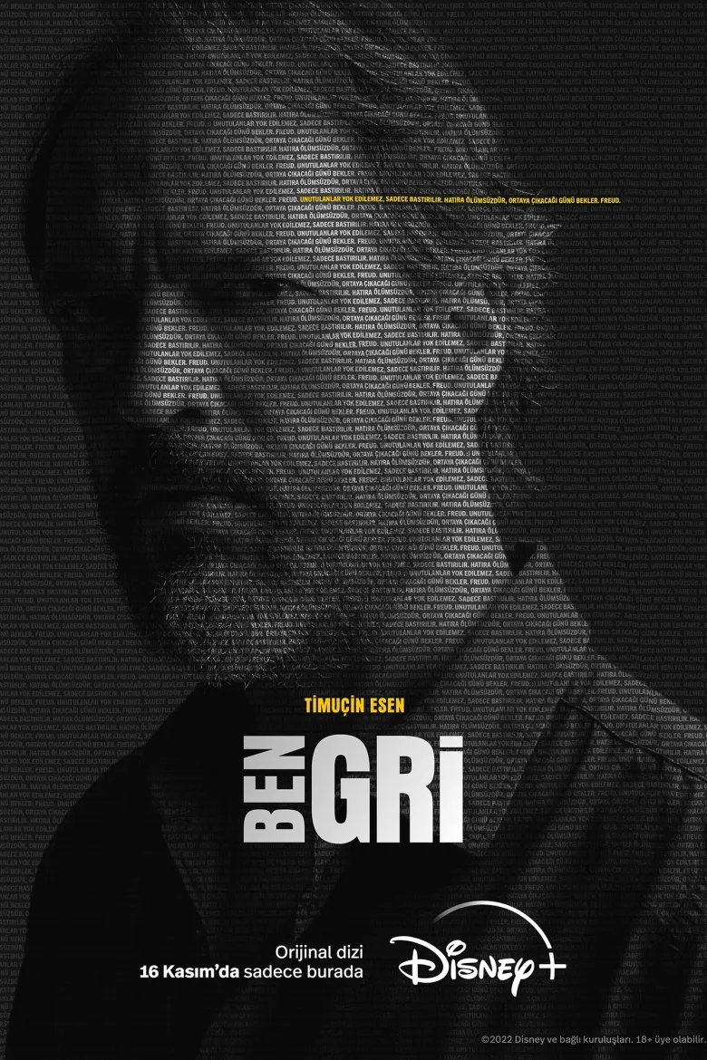 Ben Gri - görsel 12