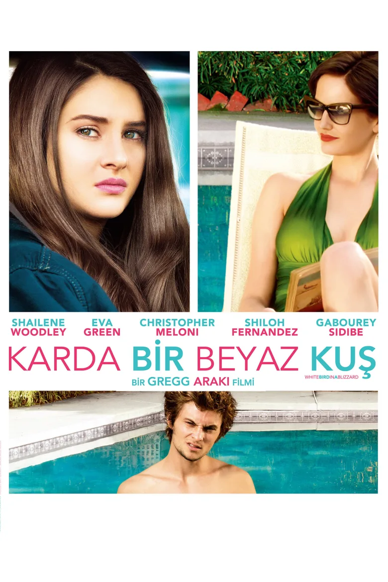 Karda Bir Beyaz Kuş İndir - görsel 11
