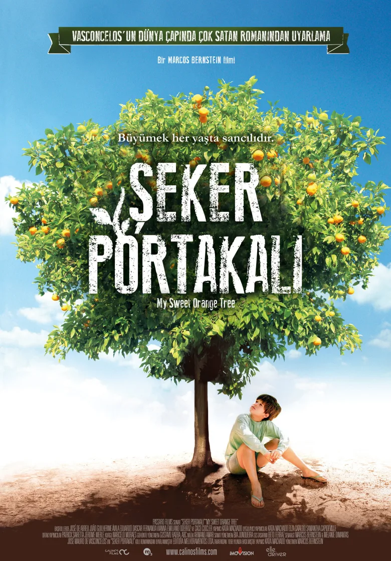 Şeker Portakalı İndir - görsel 9