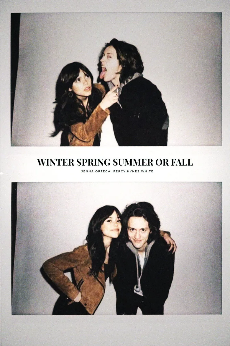 Winter Spring Summer or Fall İndir - görsel 14