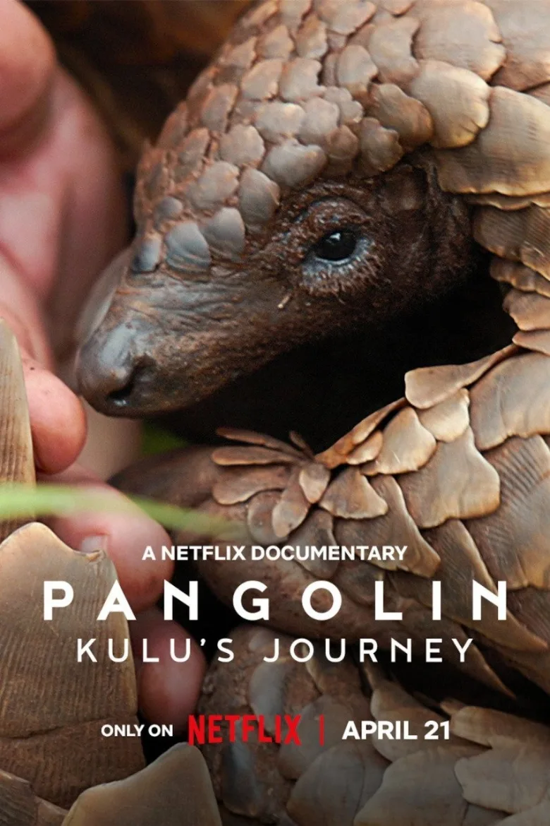 Pangolin: Kulu'nun Yolculuğu İndir - görsel 4