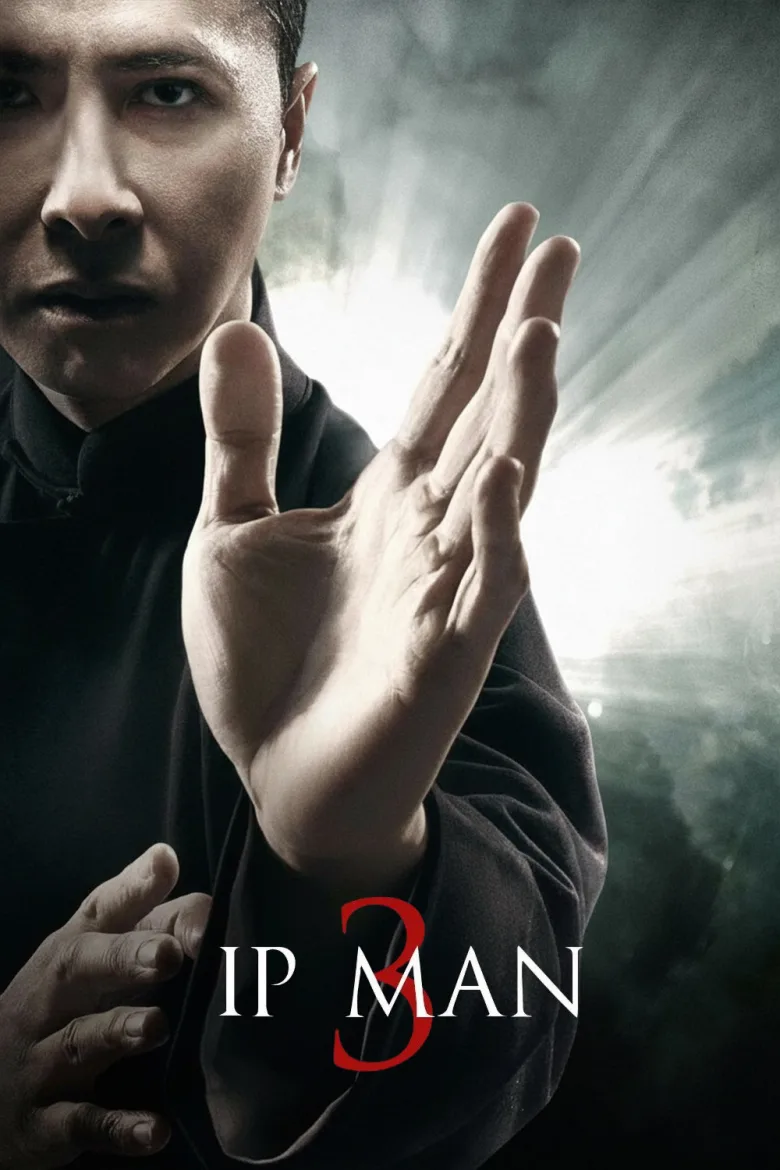 Ip Man 3 İndir - görsel 13
