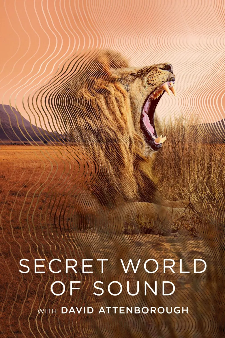 Secret World of Sound 1080p İndir - görsel 11