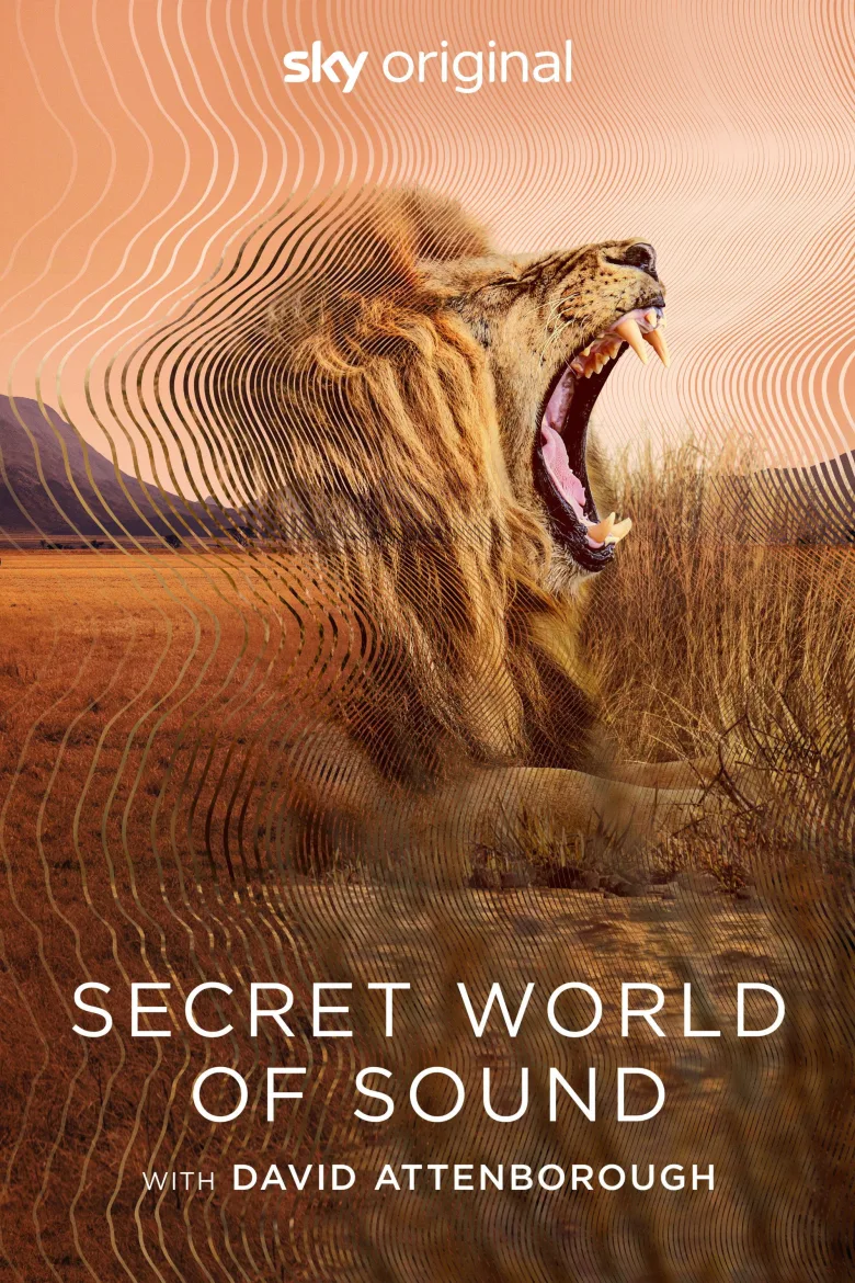 Secret World of Sound 1080p İndir - görsel 13